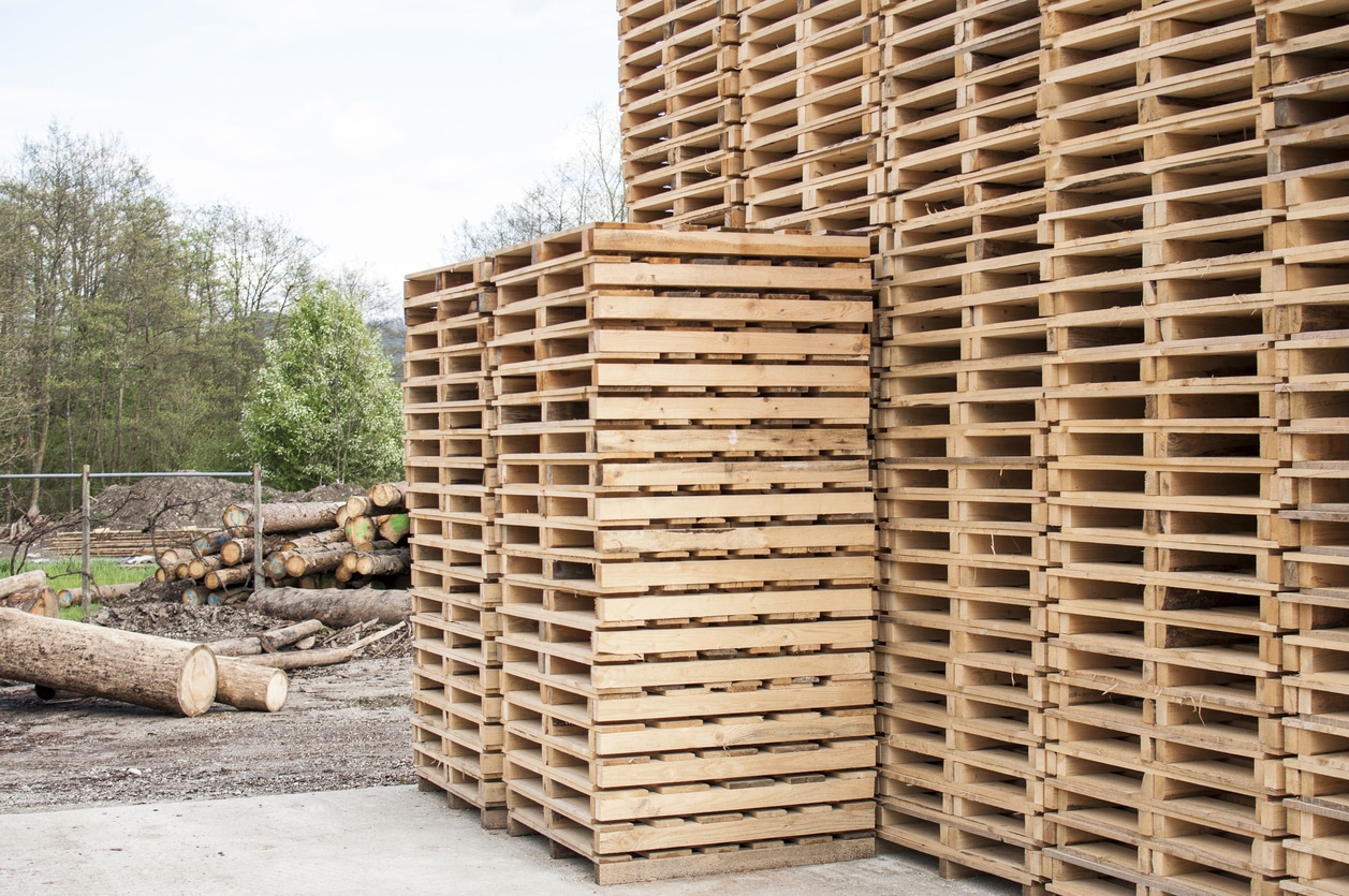 Timber Pallet Sustainability