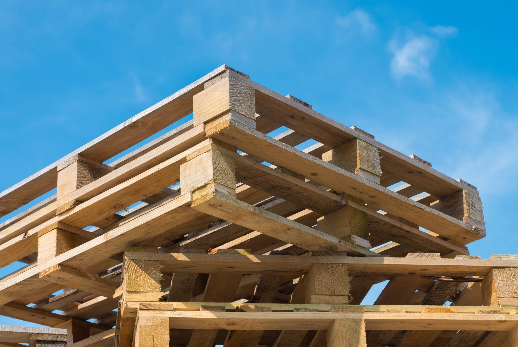 Timber Cases vs Plastic Cases Environmental Impact Assestment