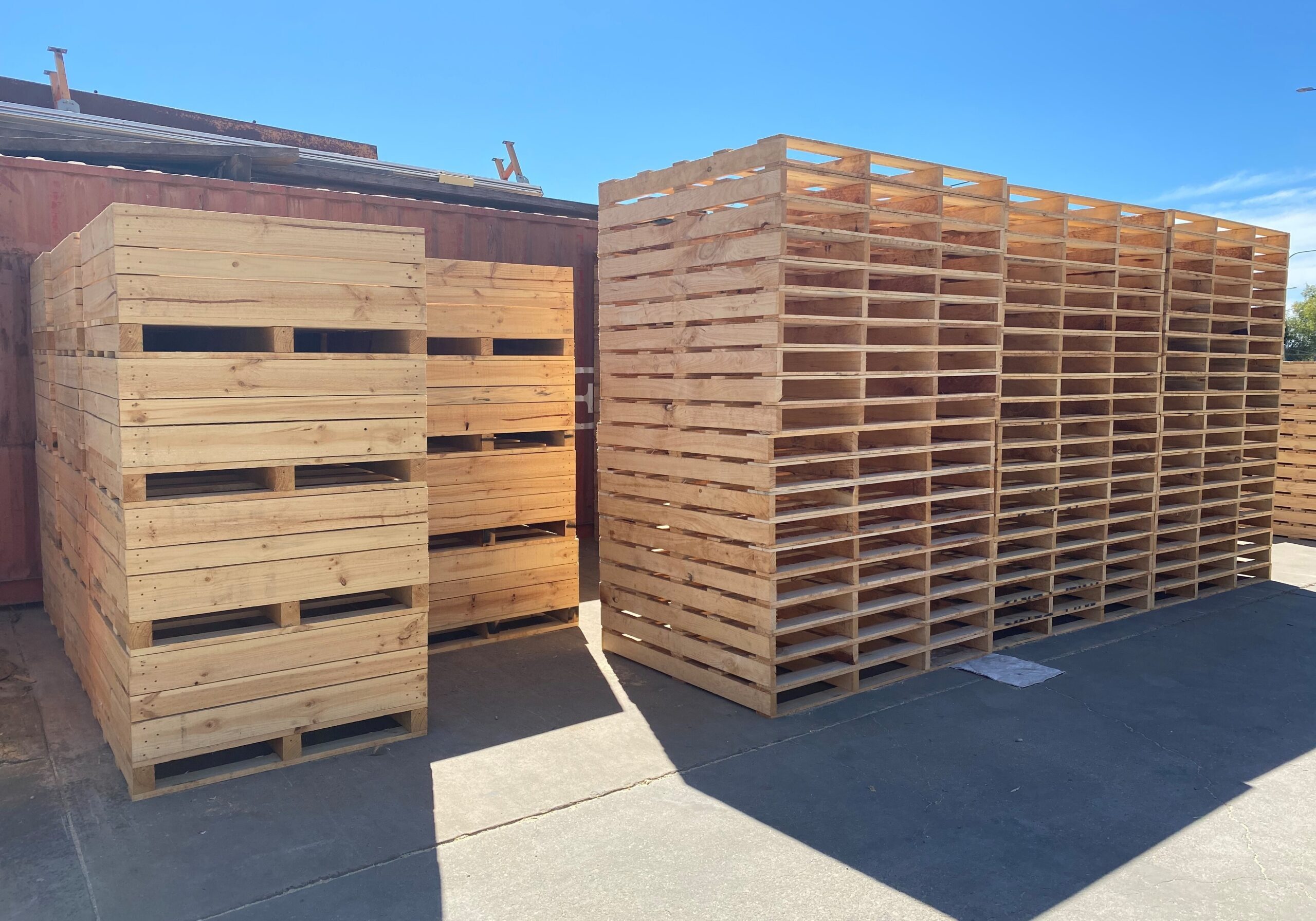Timber Pallets 10